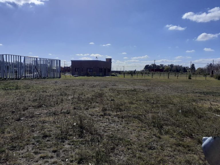 3e0b2829-ff5c-4b64-a524-b705d4ae3551