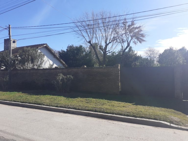 lote palmer, barrio perea