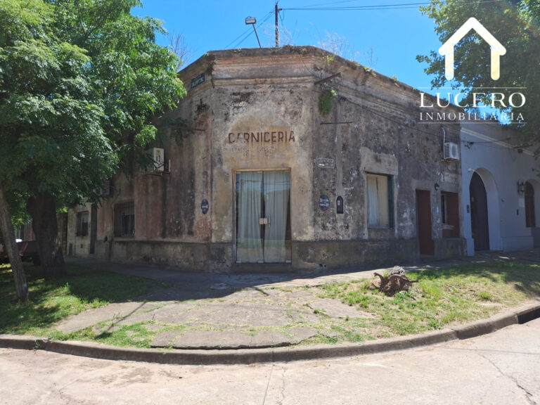 InShot_20251217_171036796