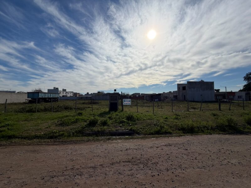 IMG-20260625-WA0022