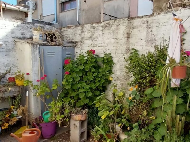 WhatsApp Image 2024-10-04 at 16.31.19 (1)