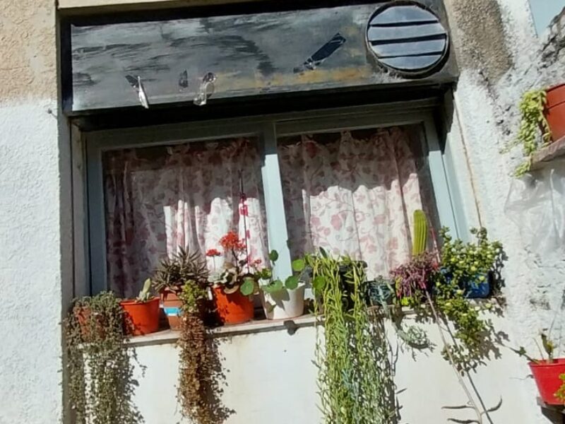 WhatsApp Image 2024-10-04 at 16.31.19 (5)