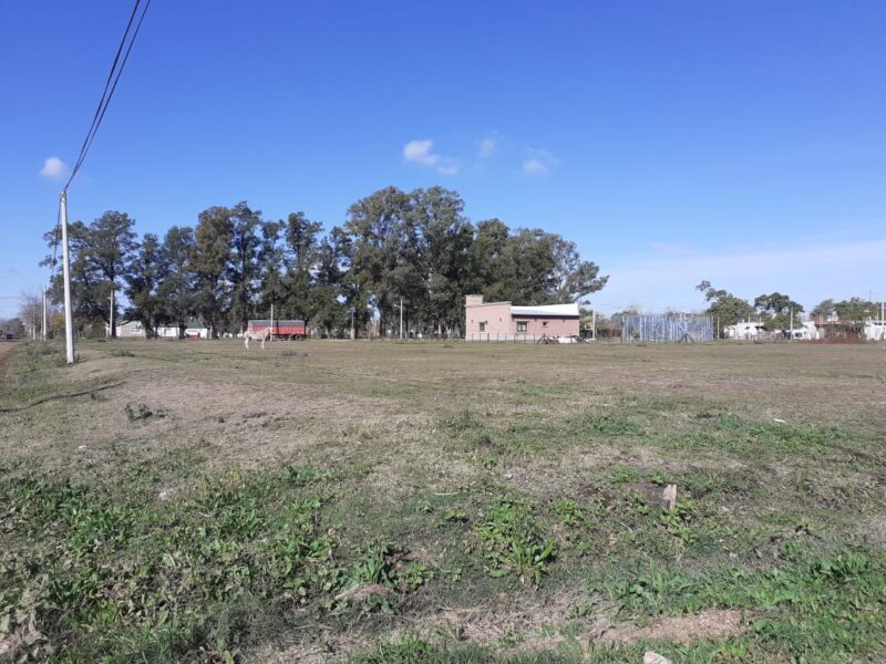 b2e86f86-581c-42d7-9fc6-128c5034f44b