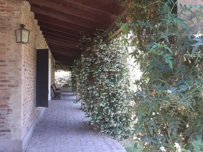 f90c6581-864b-4bf7-9b26-960fa61715f8